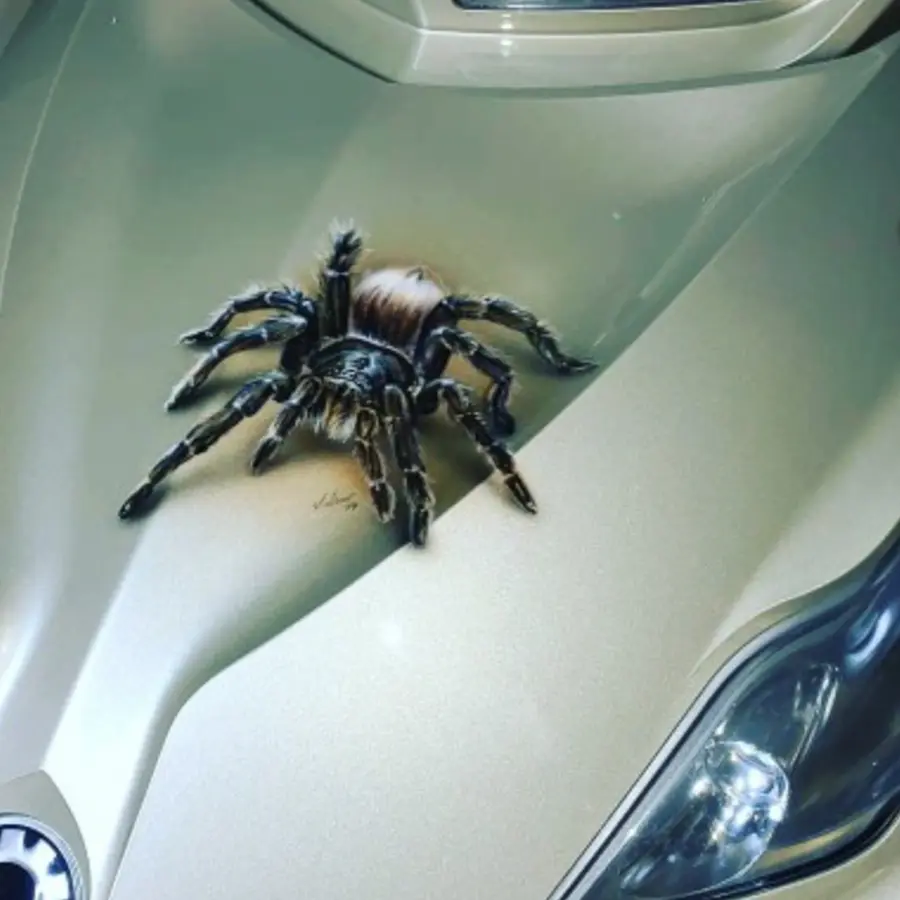 Spinne Airbrush Lackierbetrieb Schleicher